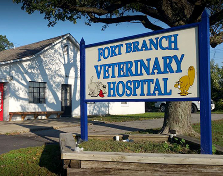 Carousel Slide 4: Fort Branch Veterinary Hospital